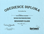 Hoshi's Diploma