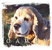 Gabby