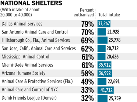 euthanasia kill shelters spaniel curbs