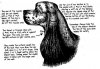 CockerHeadTrim.jpg