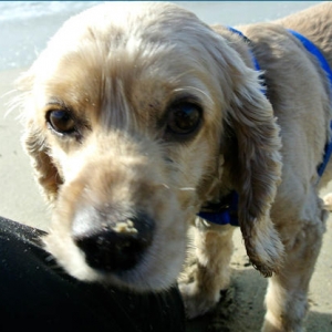 Beach sand adventures