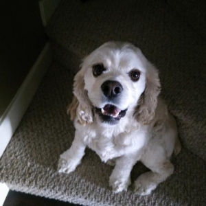 Buster