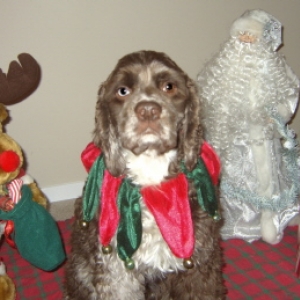 Media 'Ya well if I have to get my pic done so do you bro.' in album 'Deacon and Tynan Hardie'