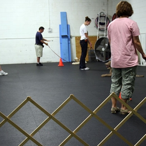 Media 'Location: Sportsmen's Dog Training Club of Detroit
Date: 8/26/2006
We had a contest to see who could stay the longest.  Hoshi won!' in album 'Hoshiko'