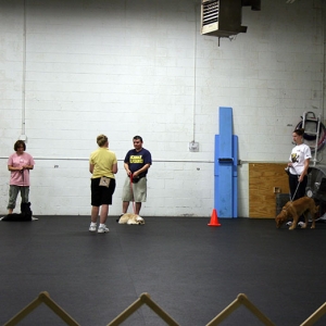 Media 'Location: Sportsmen's Dog Training Club of Detroit
Date: 8/26/2006
We were testing off on our commands.' in album 'Hoshiko'