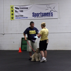 Location: Sportsmen's Dog Training Club of Detroit
Date: 8/26/2006
Hoshi receives his diploma!
