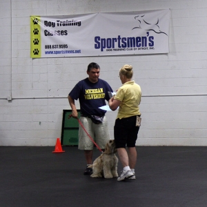 Location: Sportsmen's Dog Training Club of Detroit
Date: 8/26/2006
Hoshi receives his diploma!