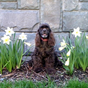 Media 'Chillin' with the daffs' in album 'Out and about in 2010'