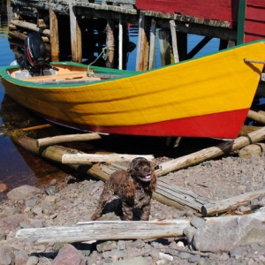 Media 'posing with a dory' in album 'Out and about in 2010'