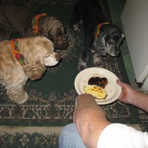 Yum