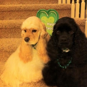 my 2 little leprechauns.  :)