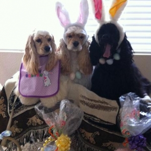 can you tell Fenway is thrilled.  come to think of it Amelia looks thrilled as well.