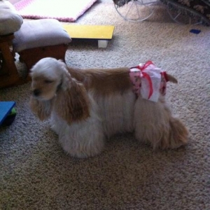 Amelia says Really...  I just to pull this bow off these.