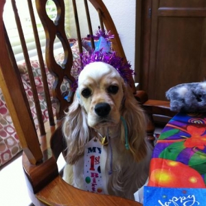 happy birthday April