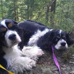 We hiked to the top of the mountain with my sister, Wendy