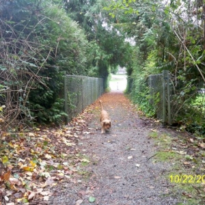 Walking along the path to the park