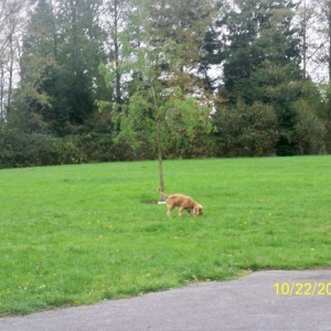He had the park to himself