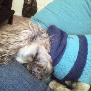 Hobbes 2