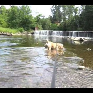 Hoshi @ Yates Park, Rochester Hills MI - YouTube