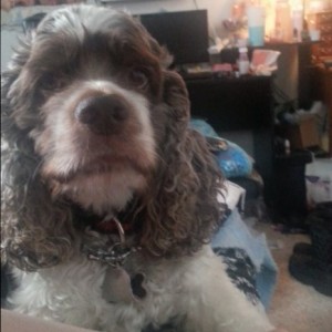Love bug Lucky!