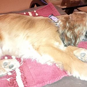 Zoey2