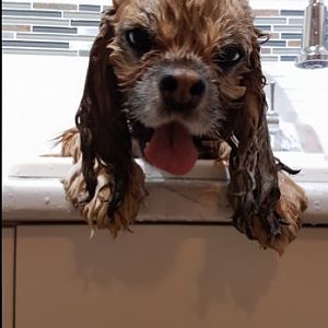 Zoey Bath