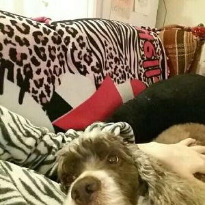 snuggle time!!