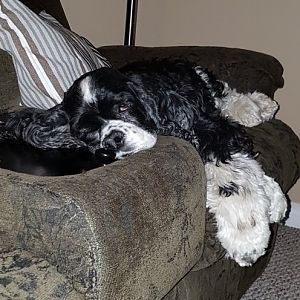 20170524_210342 (2)
