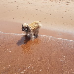 Zoey PEI