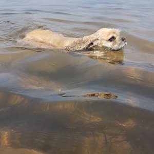 Zoey PEI 2