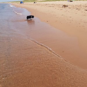 Beach Walk
