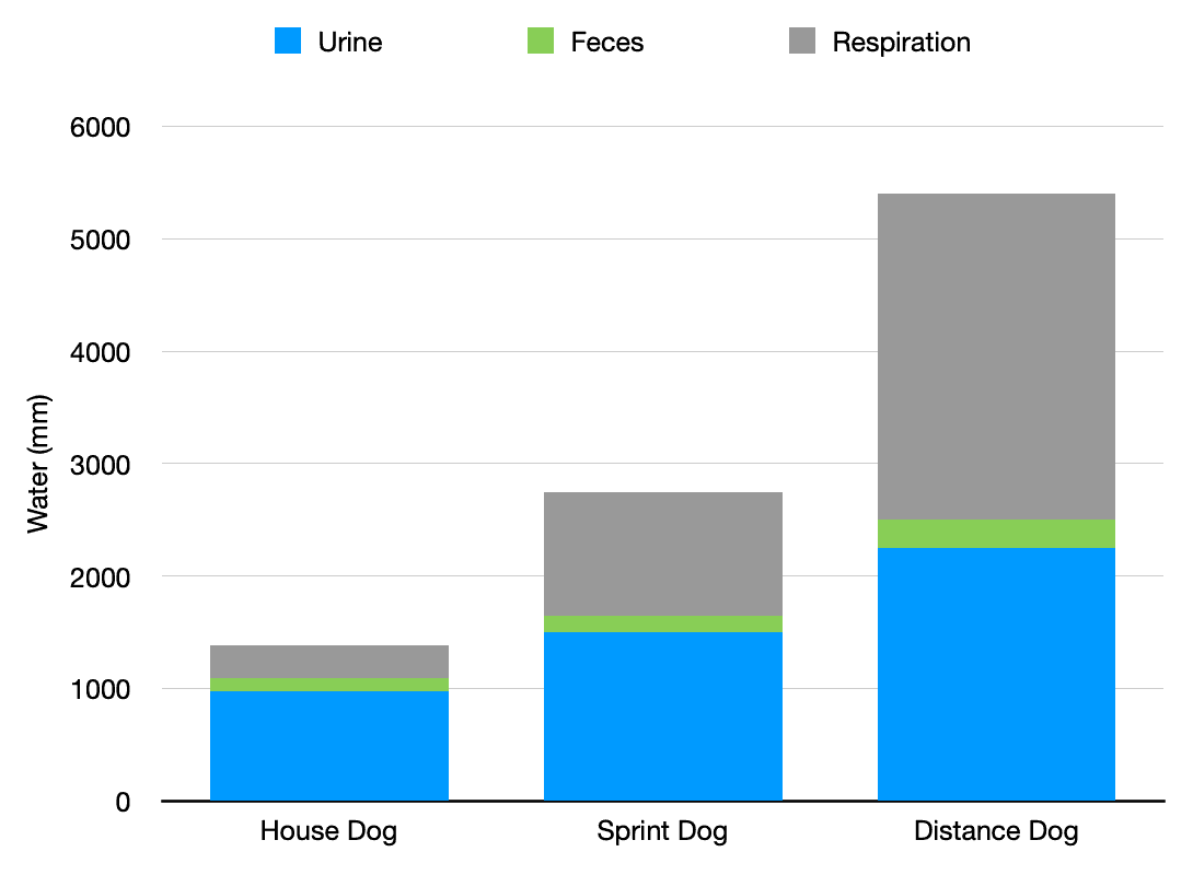 Water loss in dogs