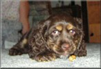 Abby