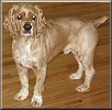 Duncan